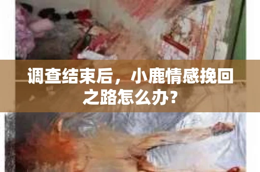 调查结束后，小鹿情感挽回之路怎么办？