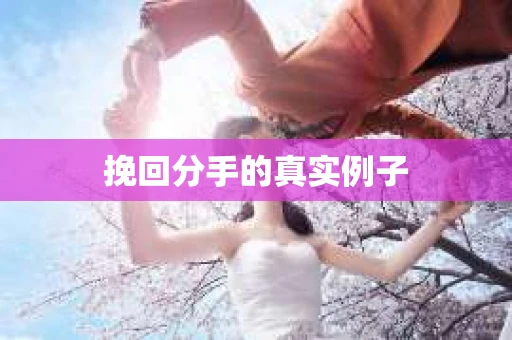 挽回分手的真实例子
