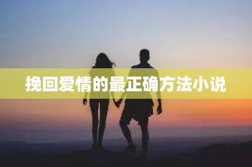 挽回爱情的最正确方法小说