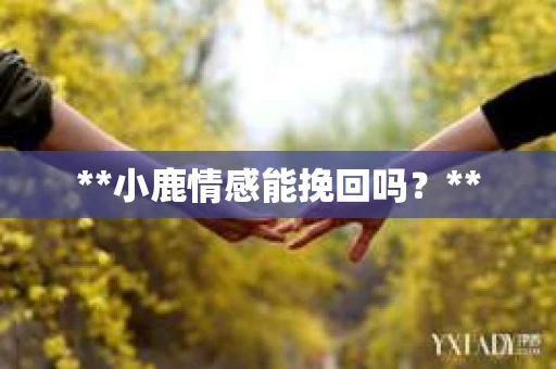 **小鹿情感能挽回吗？**