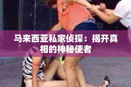 马来西亚私家侦探：揭开真相的神秘使者