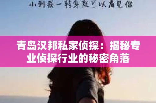 青岛汉邦私家侦探：揭秘专业侦探行业的秘密角落