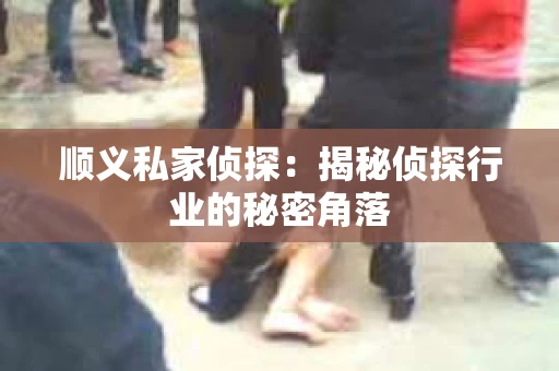 顺义私家侦探：揭秘侦探行业的秘密角落