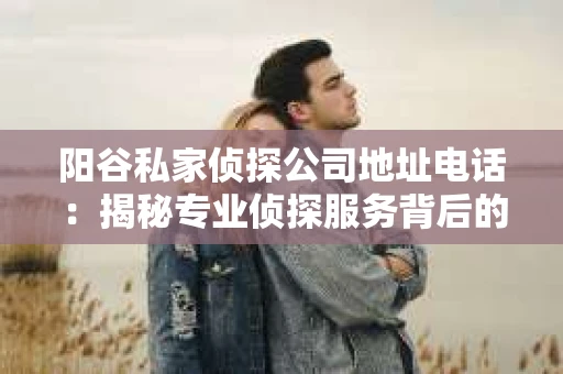阳谷私家侦探公司地址电话：揭秘专业侦探服务背后的故事