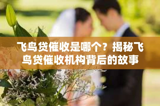 飞鸟贷催收是哪个？揭秘飞鸟贷催收机构背后的故事