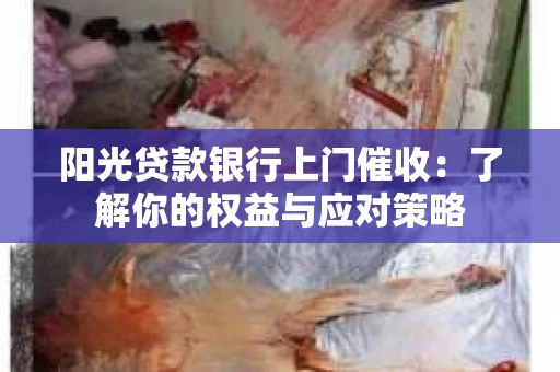 阳光贷款银行上门催收：了解你的权益与应对策略