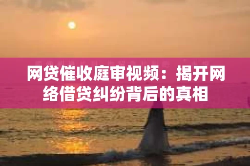 网贷催收庭审视频：揭开网络借贷纠纷背后的真相