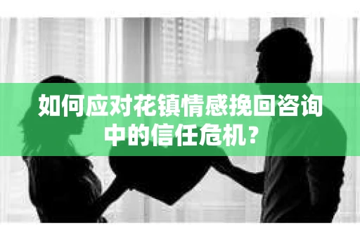 如何应对花镇情感挽回咨询中的信任危机？