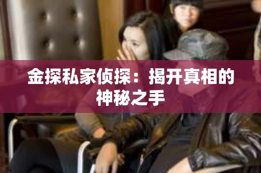 金探私家侦探：揭开真相的神秘之手