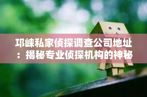 邛崃私家侦探调查公司地址：揭秘专业侦探机构的神秘面纱