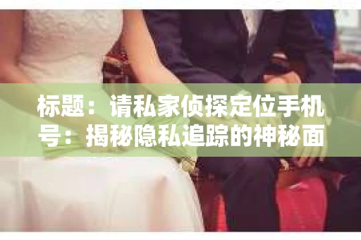 标题：请私家侦探定位手机号：揭秘隐私追踪的神秘面纱