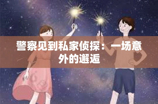 警察见到私家侦探：一场意外的邂逅