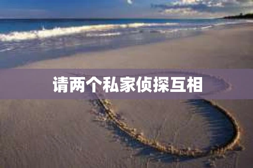 请两个私家侦探互相
