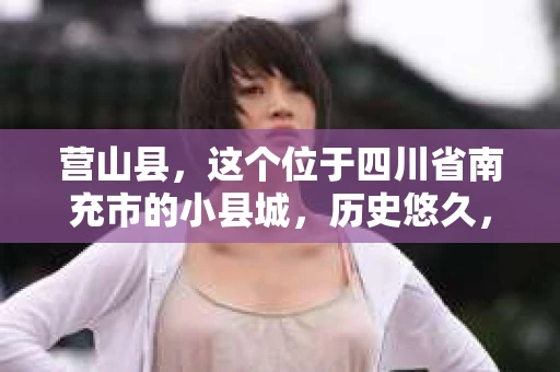 营山县，这个位于四川省南充市的小县城，历史悠久，风景秀丽。但在这个宁静的小县城里，你是否会好奇，有没有私家侦探的存在呢？今天，我就来和大家聊聊这个话题。