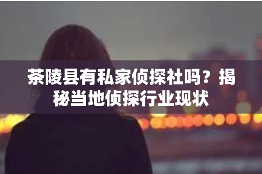 茶陵县有私家侦探社吗？揭秘当地侦探行业现状
