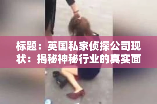 标题：英国私家侦探公司现状：揭秘神秘行业的真实面貌