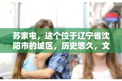 苏家屯，这个位于辽宁省沈阳市的城区，历史悠久，文化底蕴深厚。近年来，随着社会的发展，人们对于私家侦探的需求也逐渐增加。那么，苏家屯有私家侦探吗？今天，我们就来聊聊这个话题。
