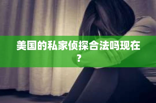 美国的私家侦探合法吗现在？