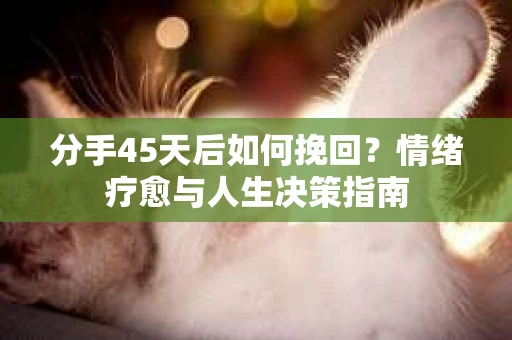 分手45天后如何挽回？情绪疗愈与人生决策指南