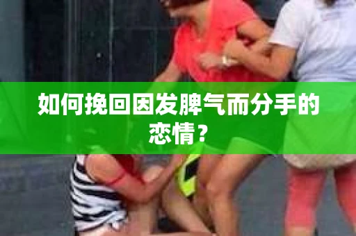 如何挽回因发脾气而分手的恋情? 如何挽回因发脾气而分手的恋情?