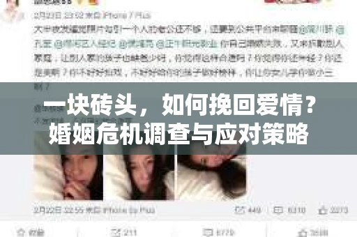 一块砖头，如何挽回爱情？婚姻危机调查与应对策略