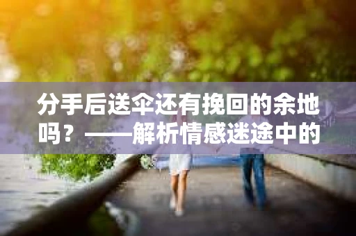 分手后送伞还有挽回的余地吗？——解析情感迷途中的决策
