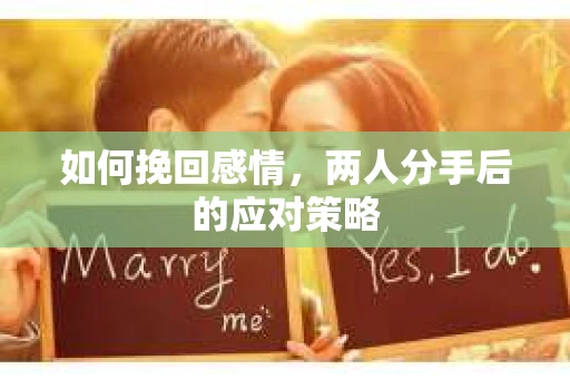 如何挽回感情,两人分手后的应对策略 如何挽回感情,两人分手后的应对策略