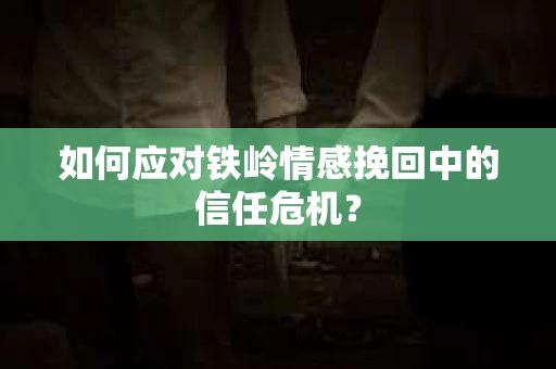 如何应对铁岭情感挽回中的信任危机？