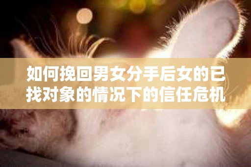 如何挽回男女分手后女的已找对象的情况下的信任危机？