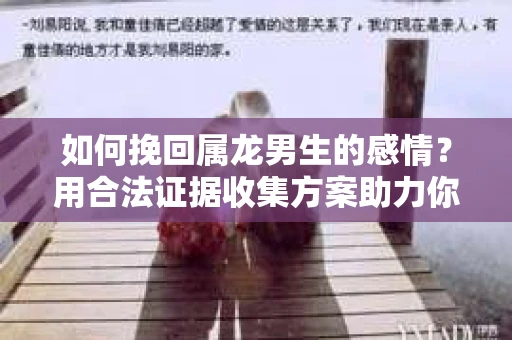 如何挽回属龙男生的感情？用合法证据收集方案助力你的努力？